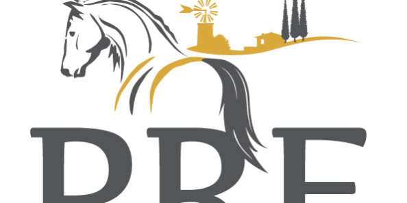 Pre-Logo-#6 LETZTE Version