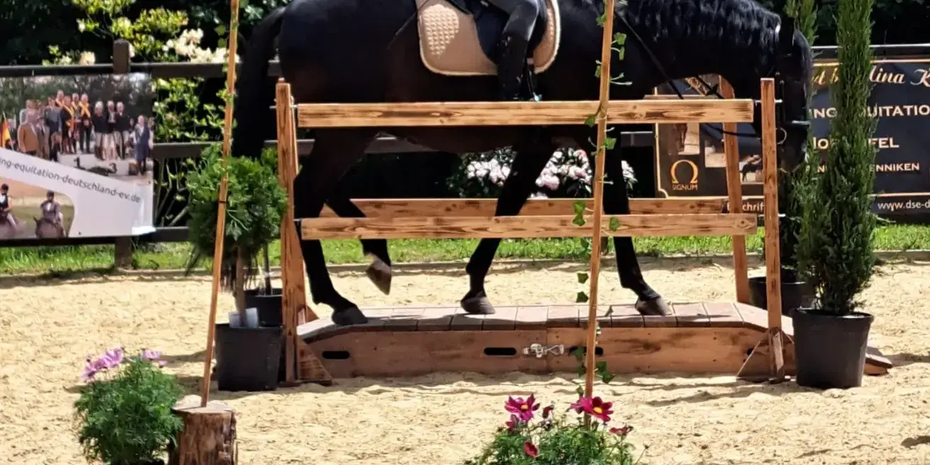 IMG_20230603_234144_475