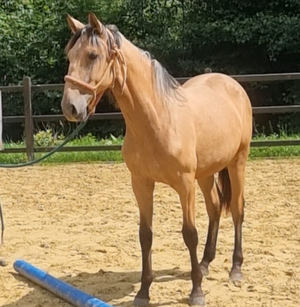 Screenshot_20260119_174117_Gallery